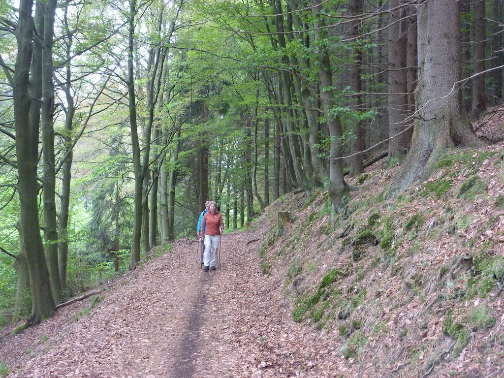 Elpe Apartments Hochsauerland Buitenkant foto